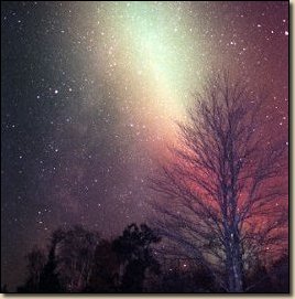 Southwest Science Foundation